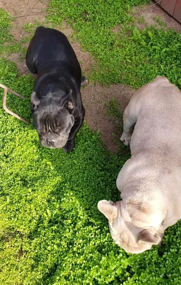 Juliette thumbnail 6