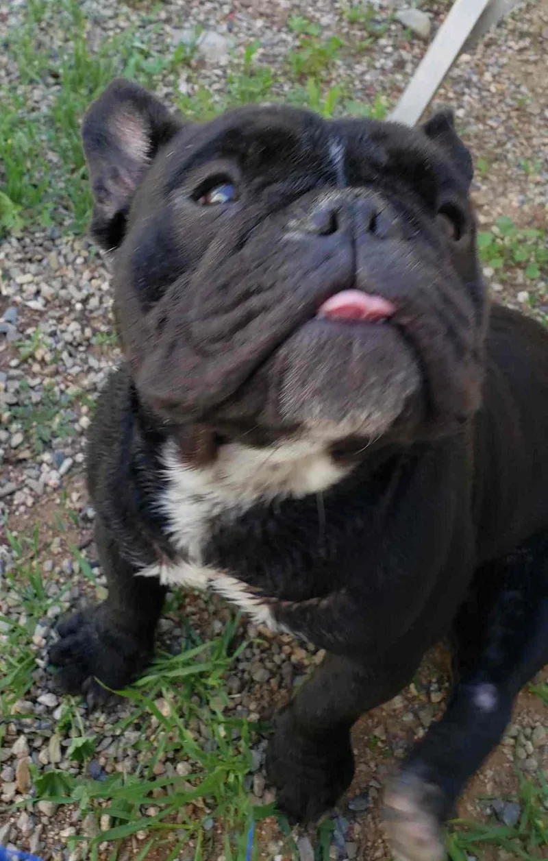 Juliette thumbnail 5