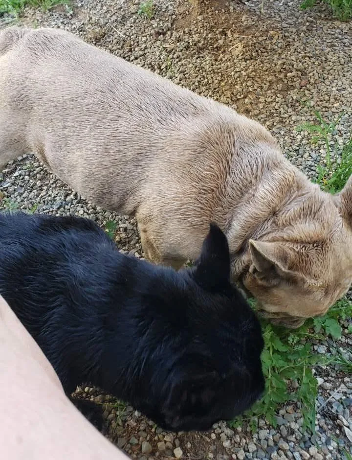 Juliette thumbnail 4