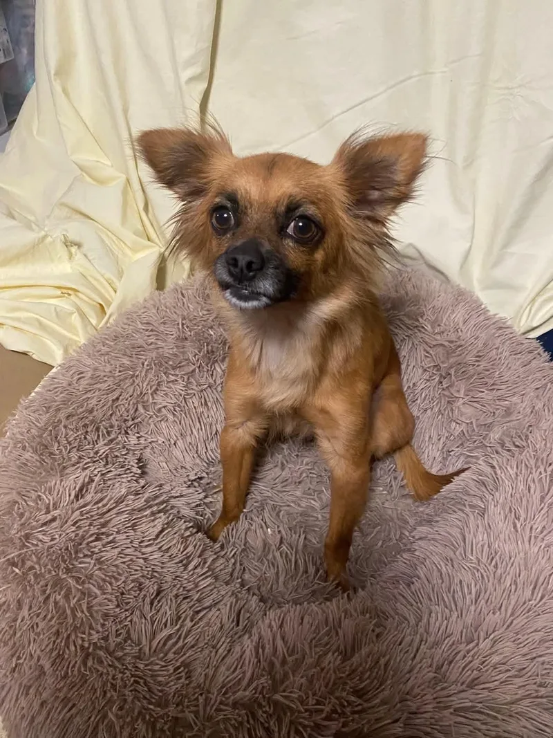 Precious thumbnail 3