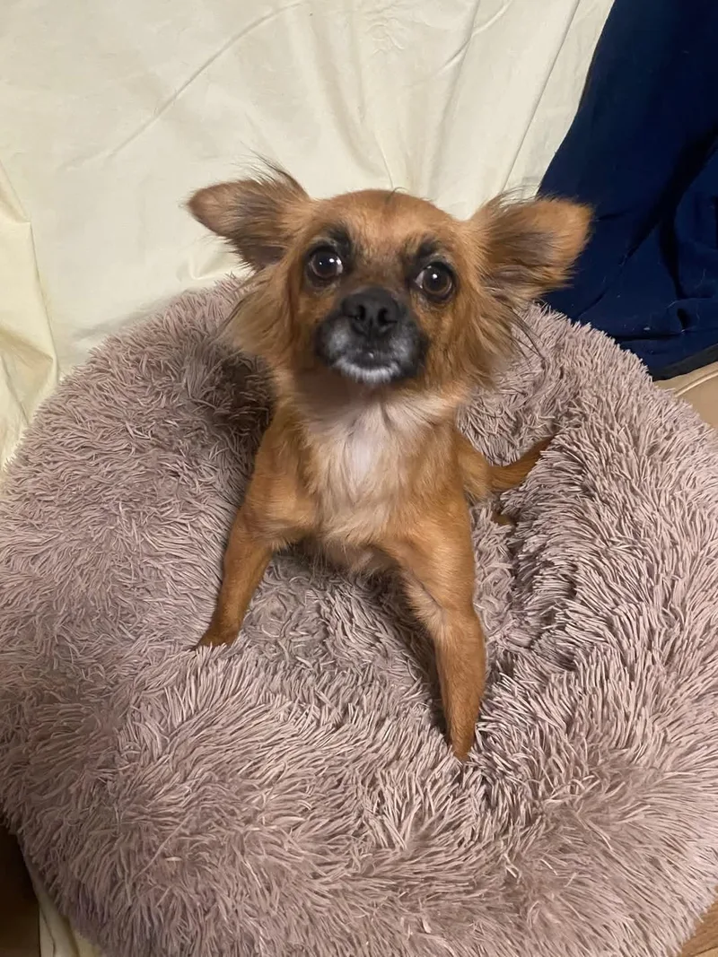 Precious thumbnail 5