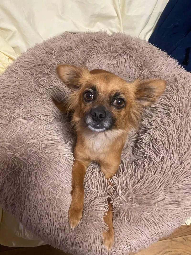 Precious thumbnail 6