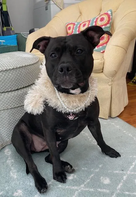 Our Regal River Baby thumbnail 3