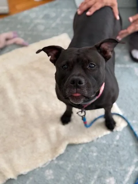 Our Regal River Baby thumbnail 6