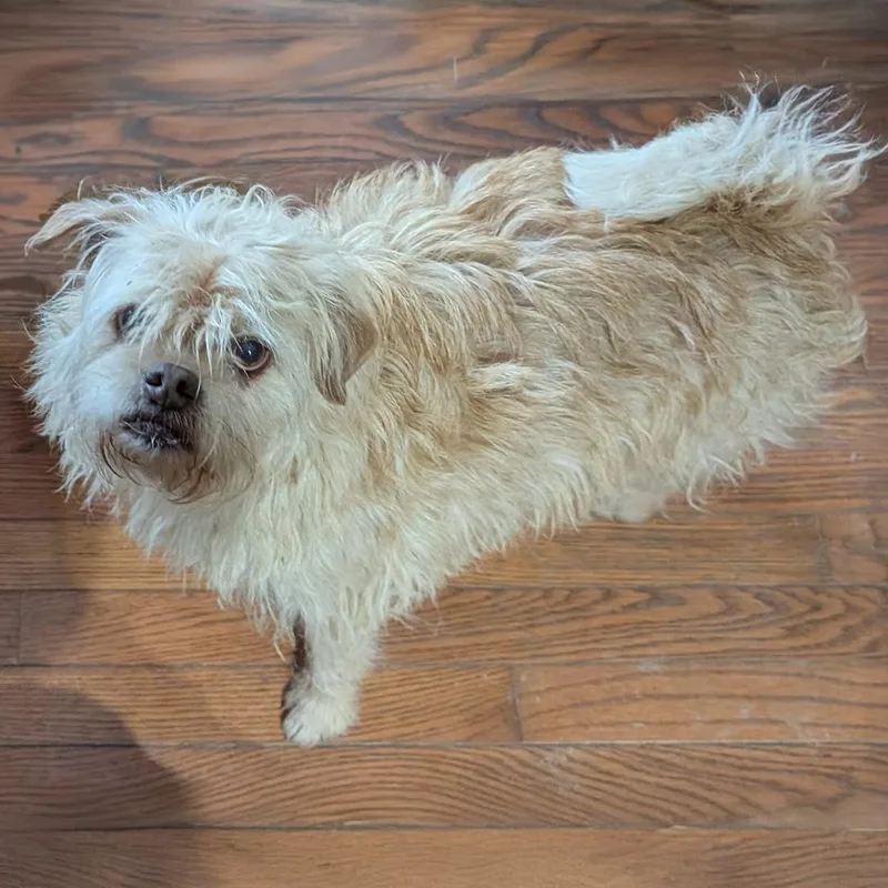 Mocha S. thumbnail 4