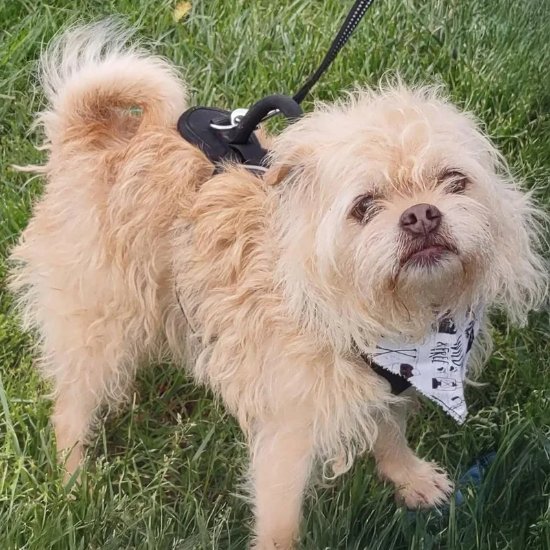 Mocha S. thumbnail 2