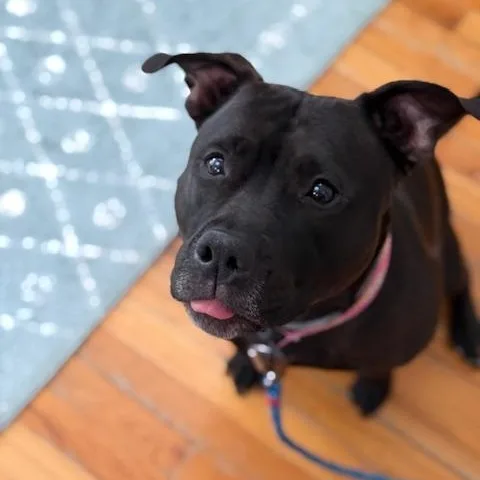 Our Regal River Baby thumbnail 2