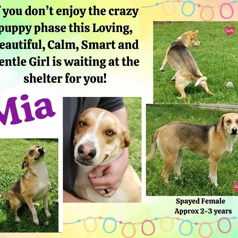 Mia thumbnail 3