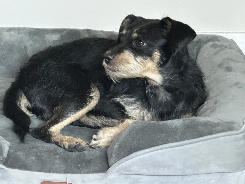 Grady And Sadie Are thumbnail 5