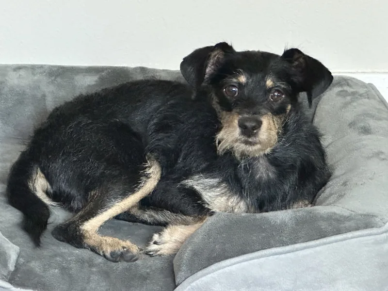 Grady And Sadie Are photo 1