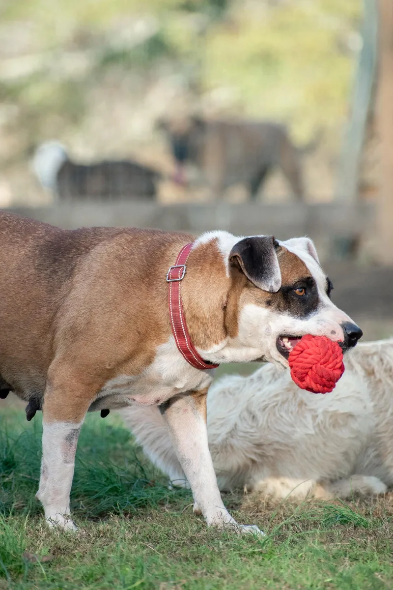 Erma Jane thumbnail 4