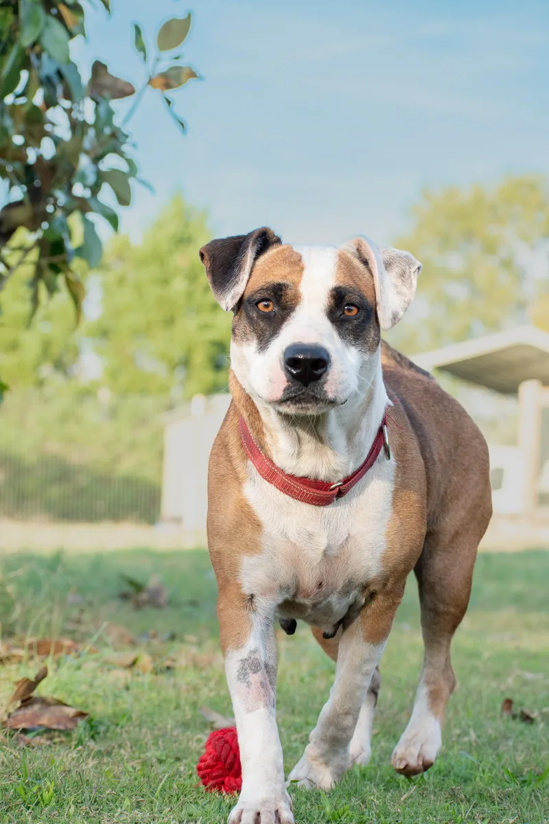 Erma Jane thumbnail 3