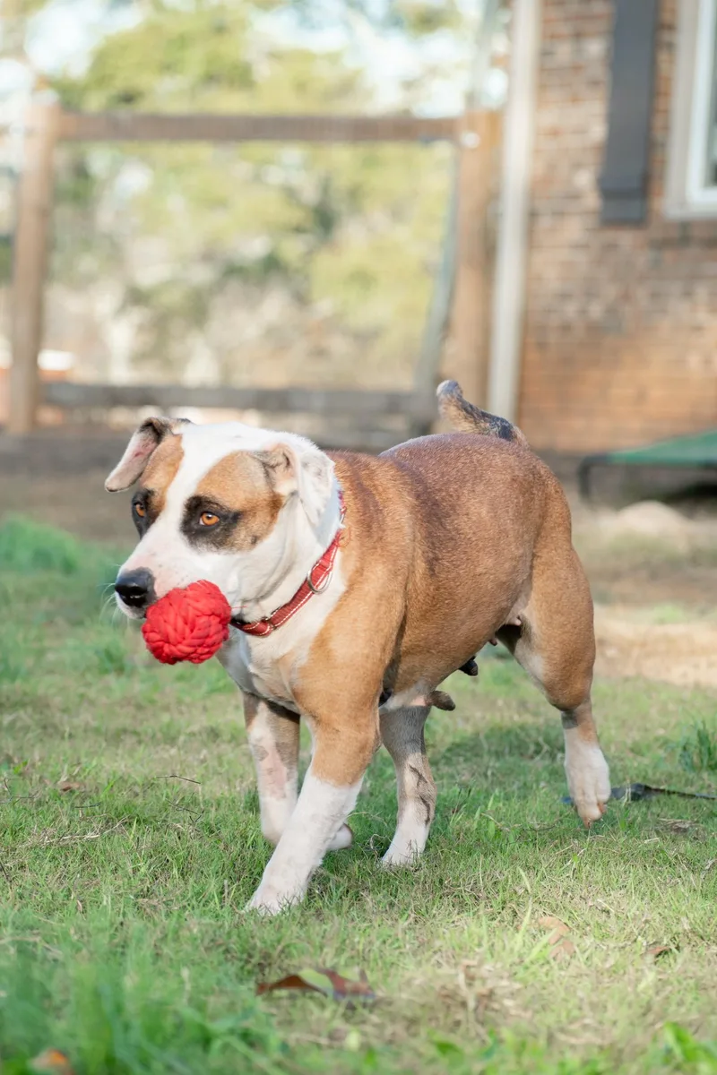 Erma Jane thumbnail 5
