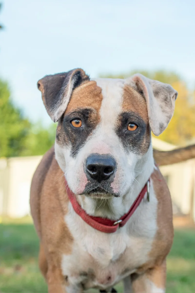 Erma Jane thumbnail 2