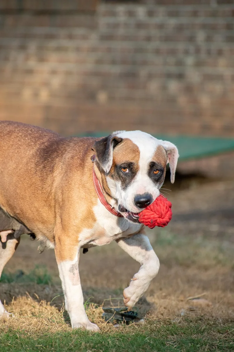 Erma Jane thumbnail 6