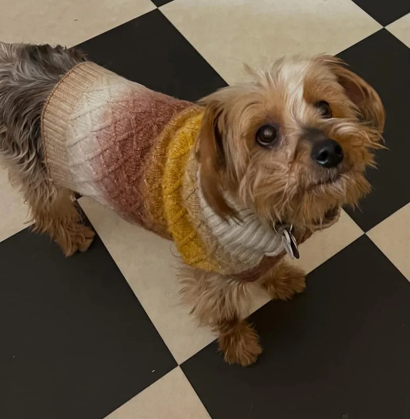 Francine thumbnail 5