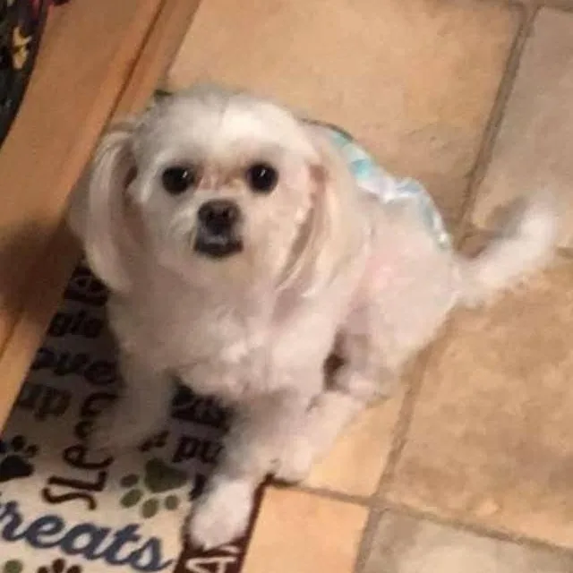 Princess thumbnail 2