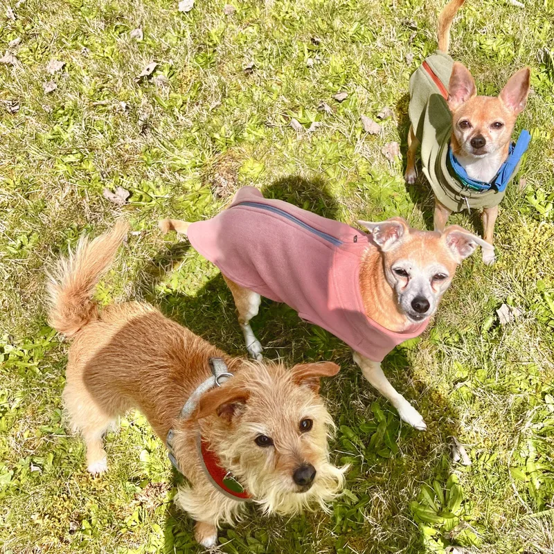 Clementine thumbnail 5