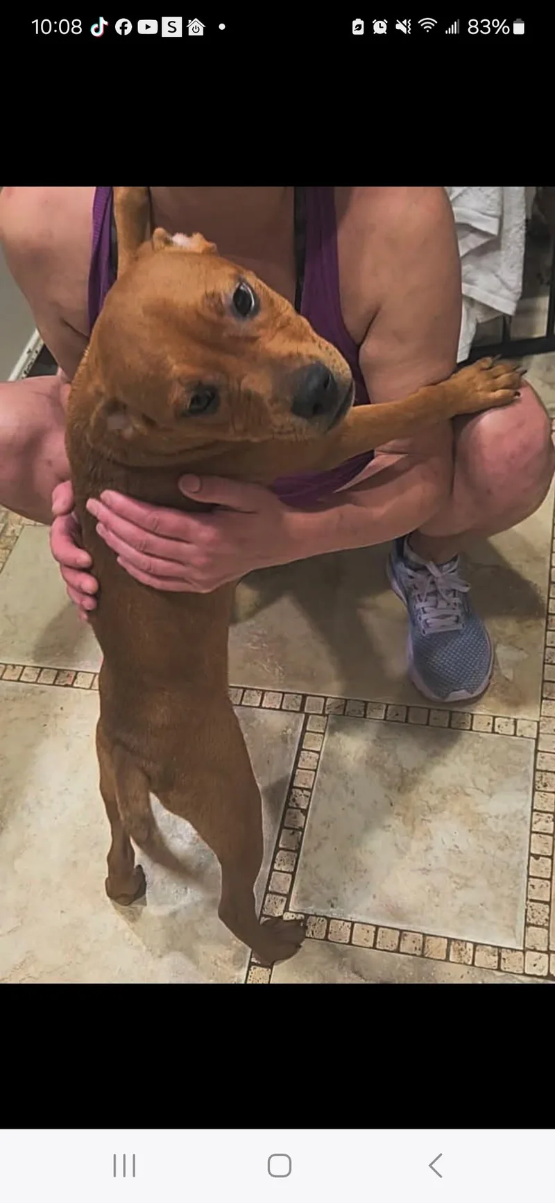 Brooklyn thumbnail 2