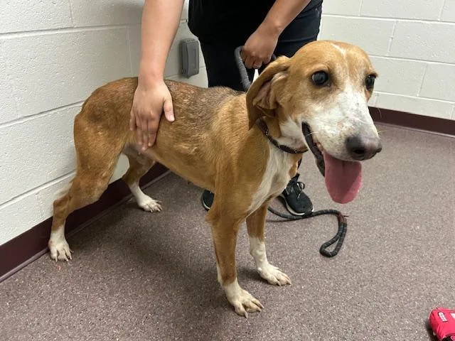 Guest Post Laney photo 1