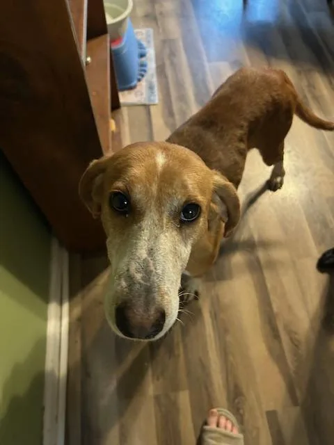 Guest Post Laney thumbnail 5