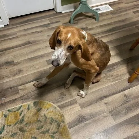 Guest Post Laney thumbnail 4