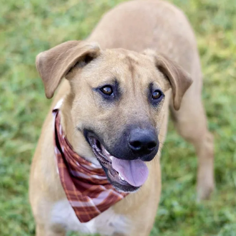 Newt - He Loves thumbnail 3