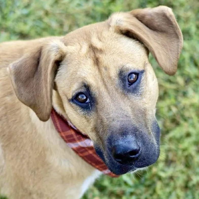 Newt - He Loves photo 1