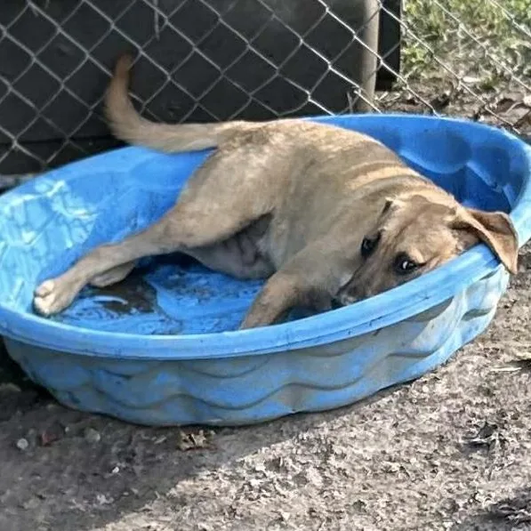 Newt - He Loves thumbnail 5