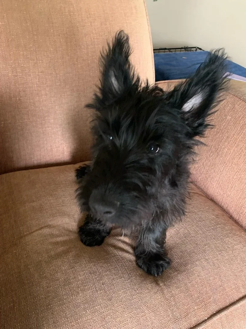 Hugh Aka Connor thumbnail 2