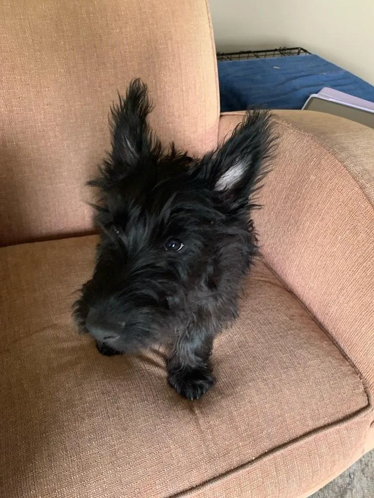 Hugh Aka Connor thumbnail 3