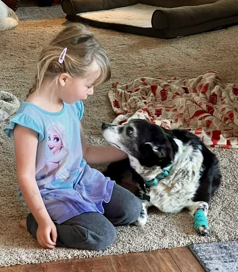 Ginger In Colorado thumbnail 5