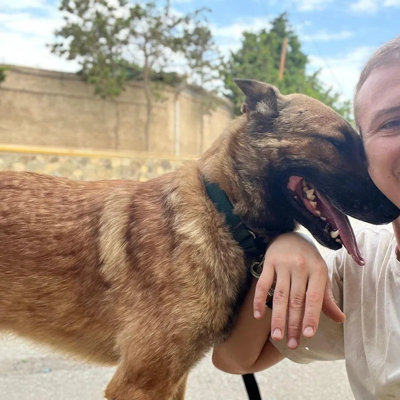 Bruno From Azerbaijan