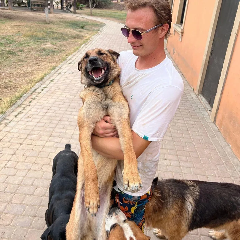 Bruno From Azerbaijan thumbnail 5