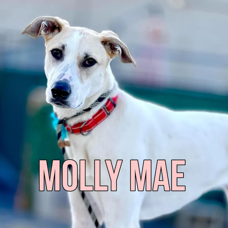 Molly Mae photo 1