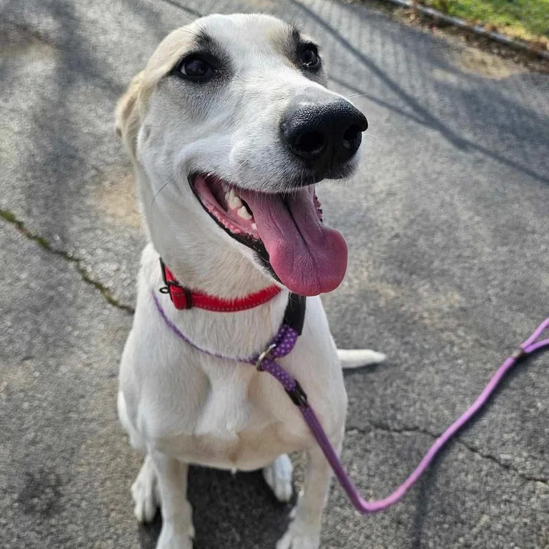 Molly Mae thumbnail 3