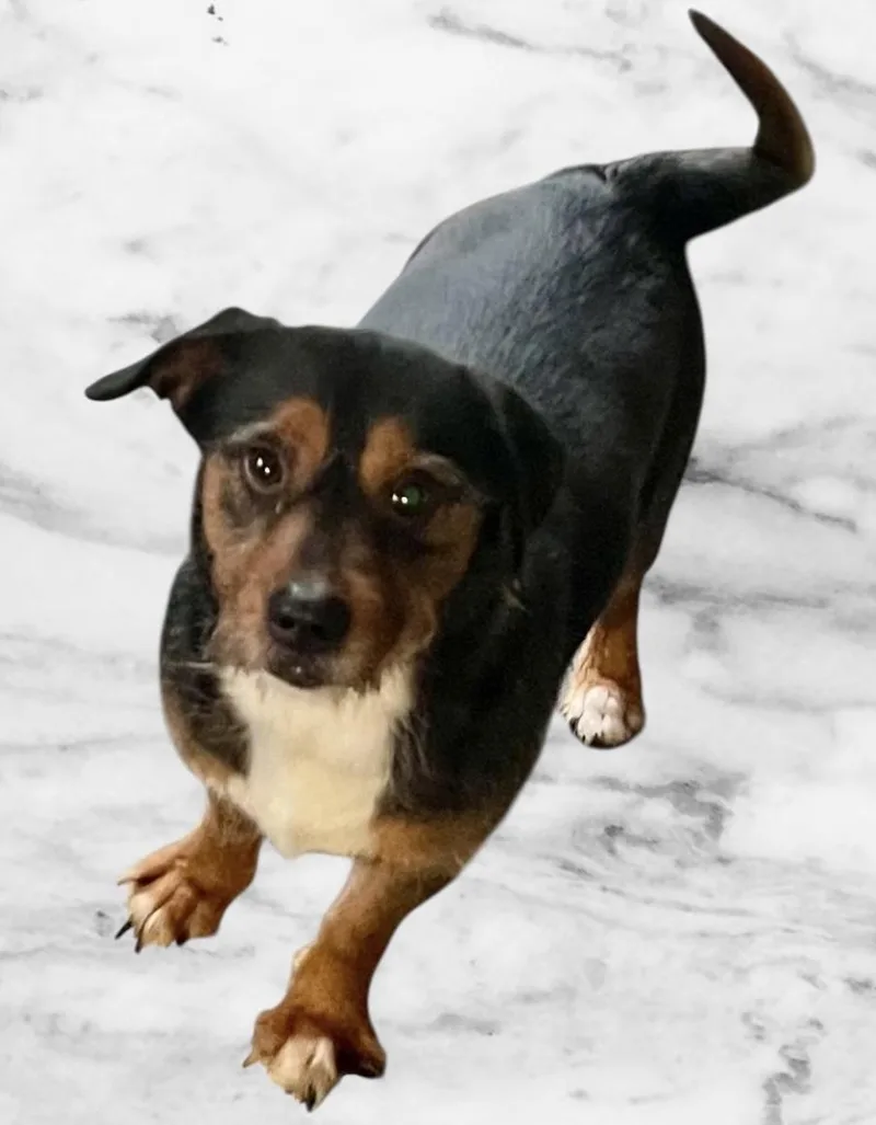 Mr Charming thumbnail 2