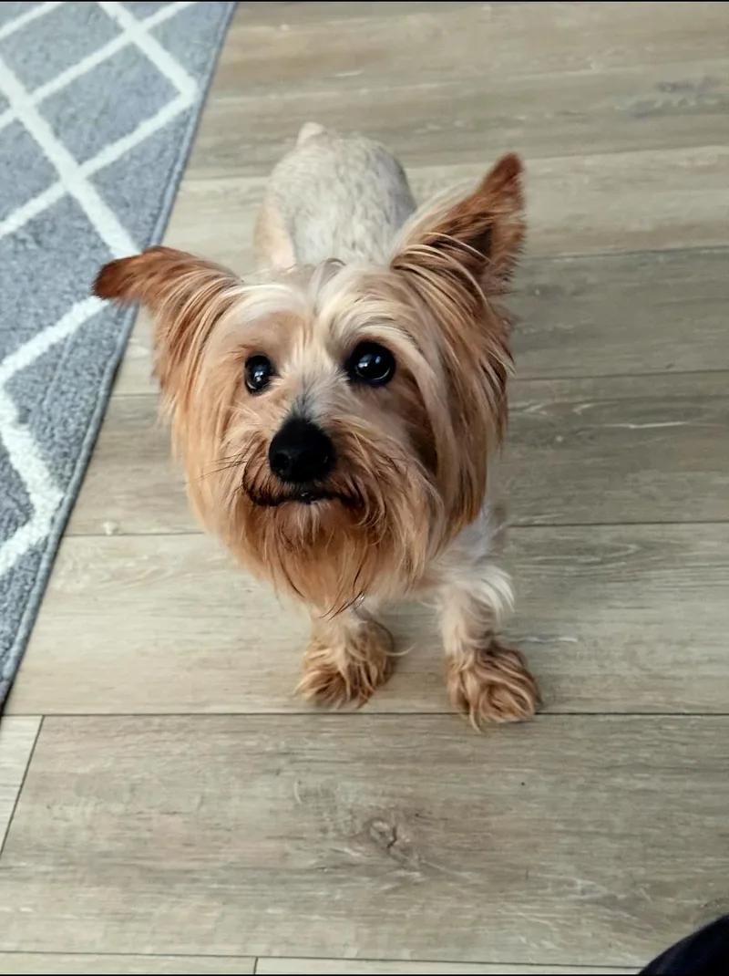 Rocky Is Very Devoted thumbnail 2