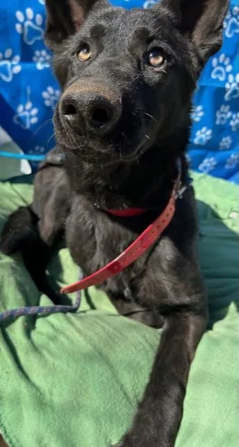 Grace & Katie (bonded thumbnail 2