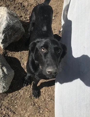 Grace & Katie (bonded thumbnail 6