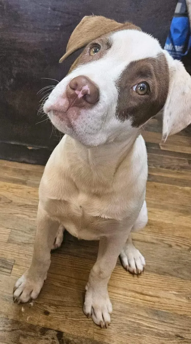 Mia And Frankie thumbnail 2