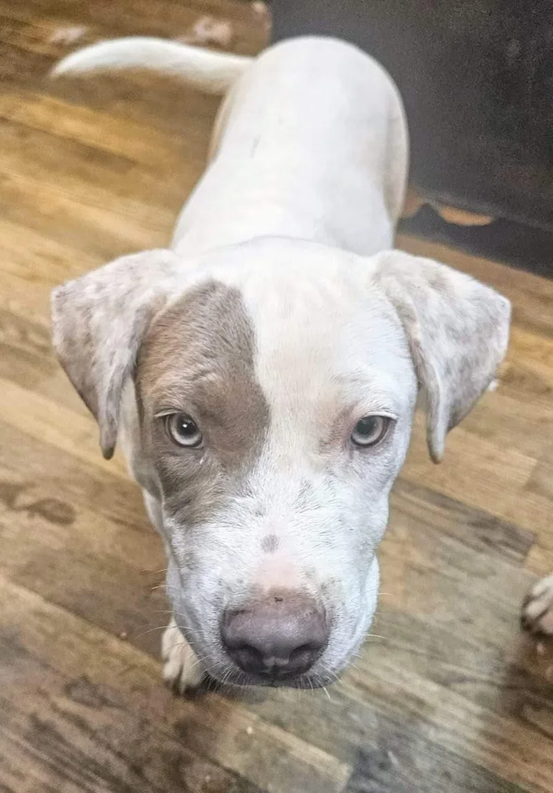 Mia And Frankie thumbnail 3