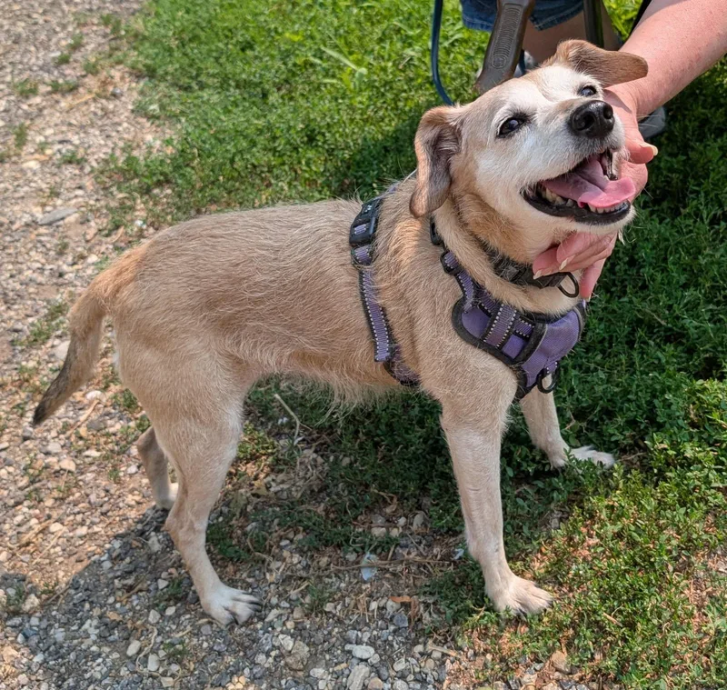 Nola And Loka thumbnail 4