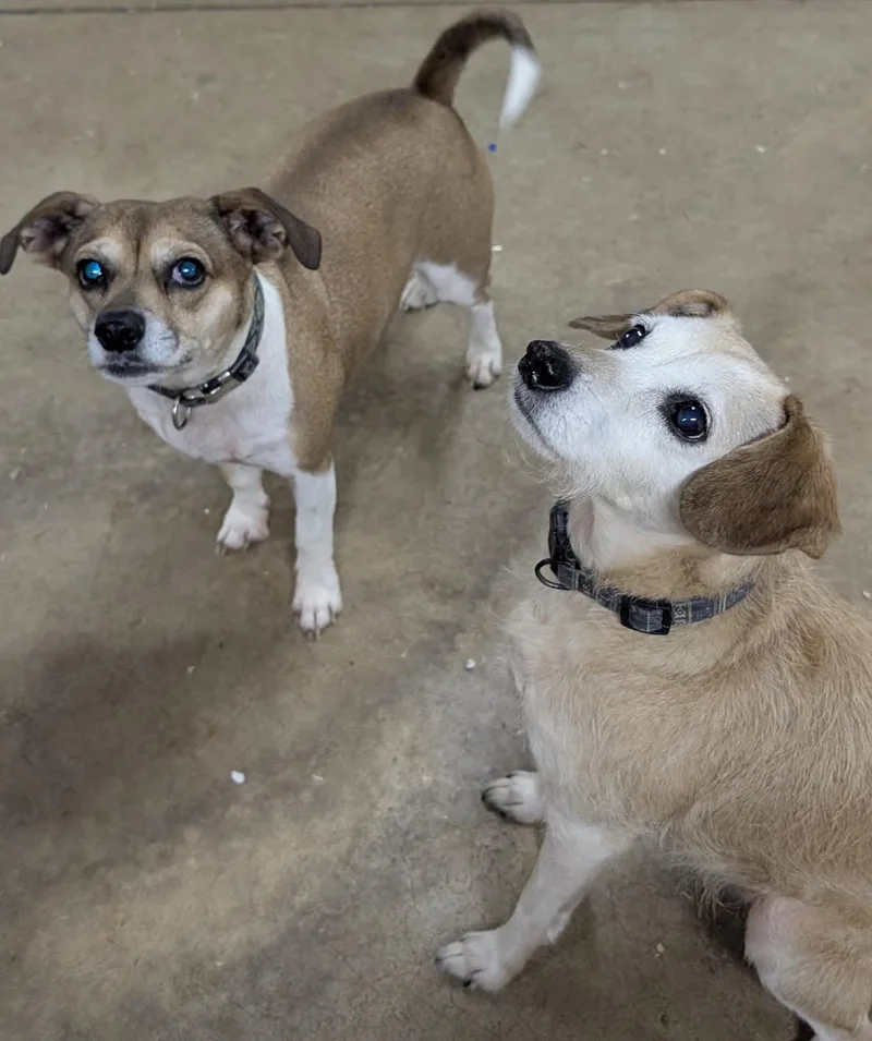 Nola And Loka thumbnail 2