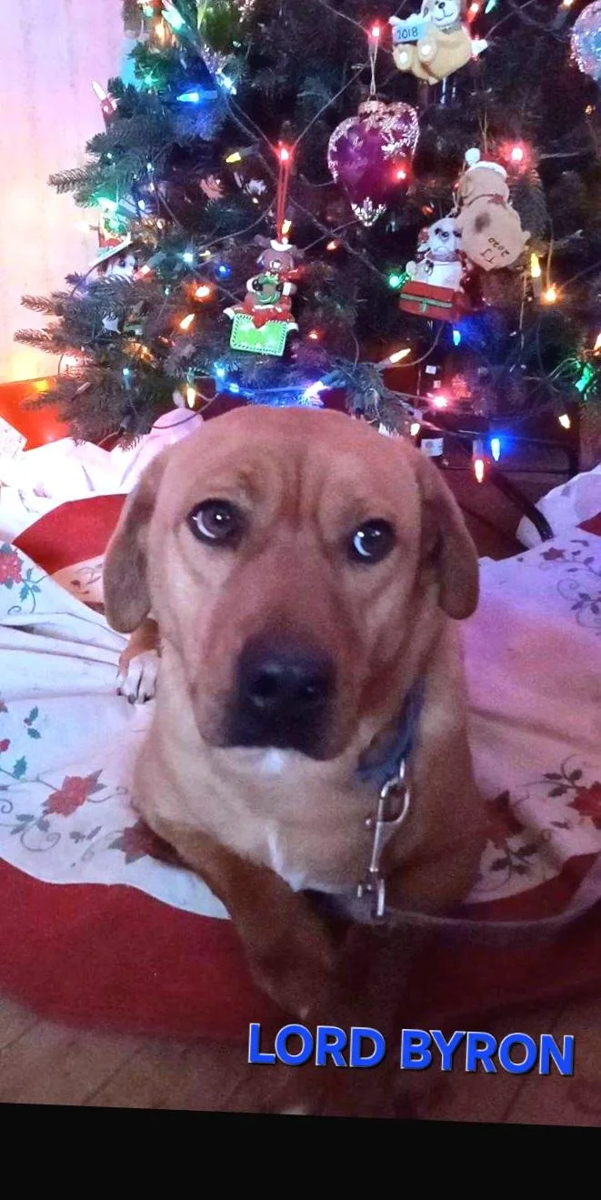 Lord Byron thumbnail 2