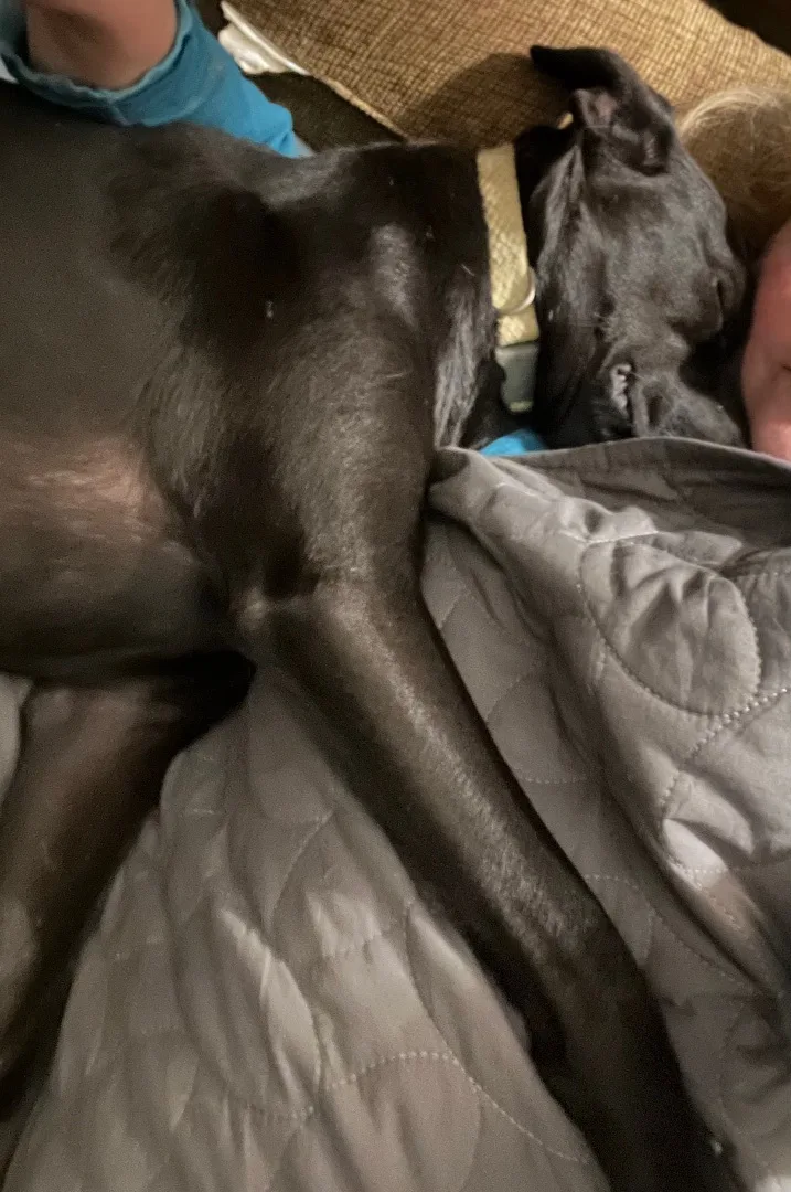 Willow ! thumbnail 4