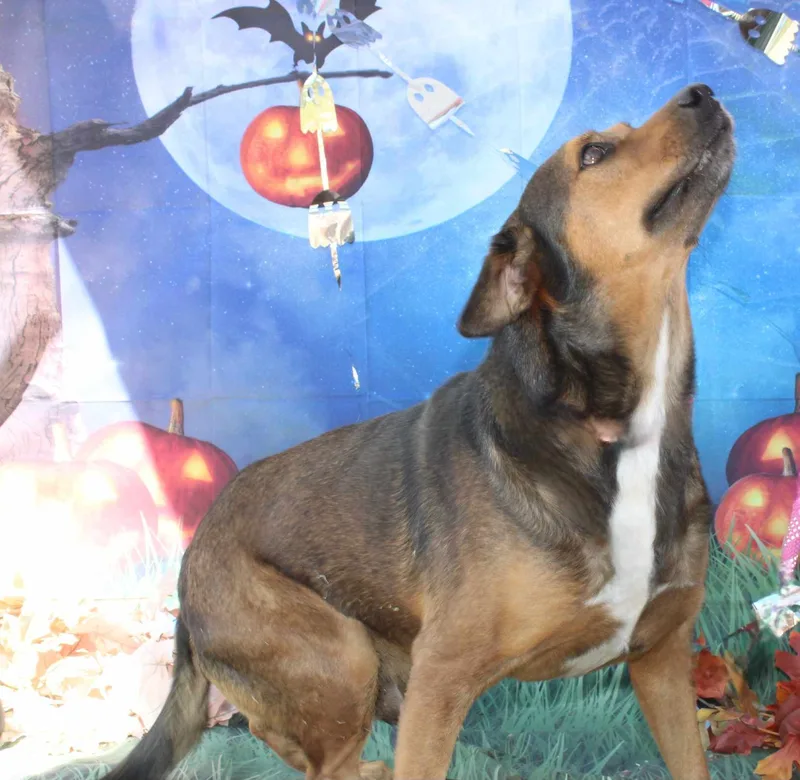 Big Bill thumbnail 2