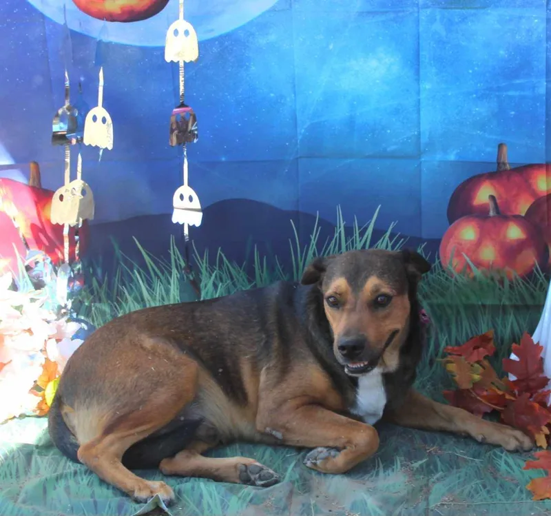 Big Bill thumbnail 3