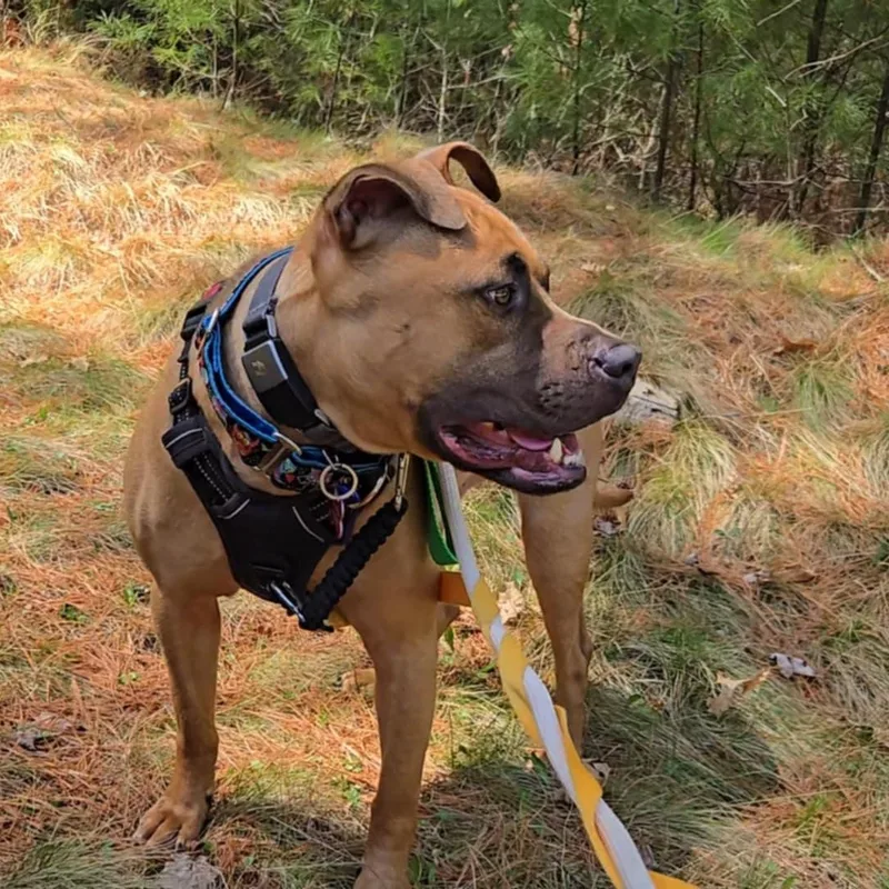 Vermont  Take My thumbnail 2