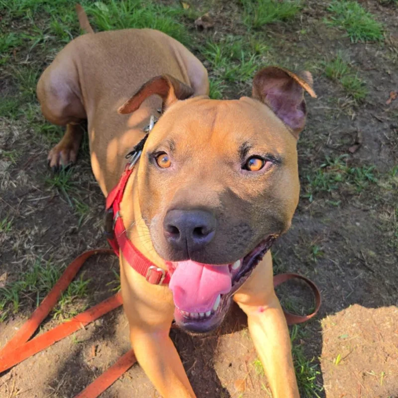 Vermont  Take My thumbnail 4